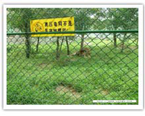 勾花网的应用图样